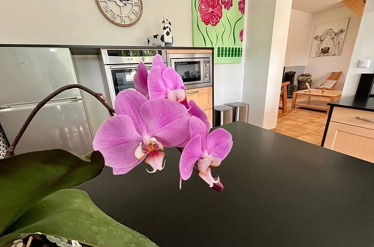 Vakantiehuis in Walincourt