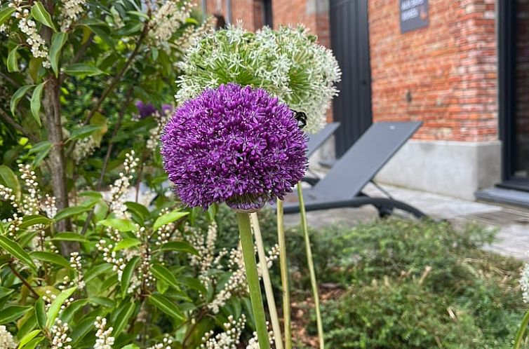 Vakantiehuis in Walincourt