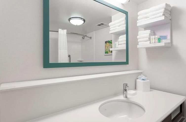 Hampton Inn Orlando-Convention Center International Drive Ar