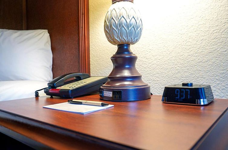 Rosen Inn International Near The Parks