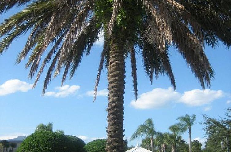 Monumental Hotel Orlando
