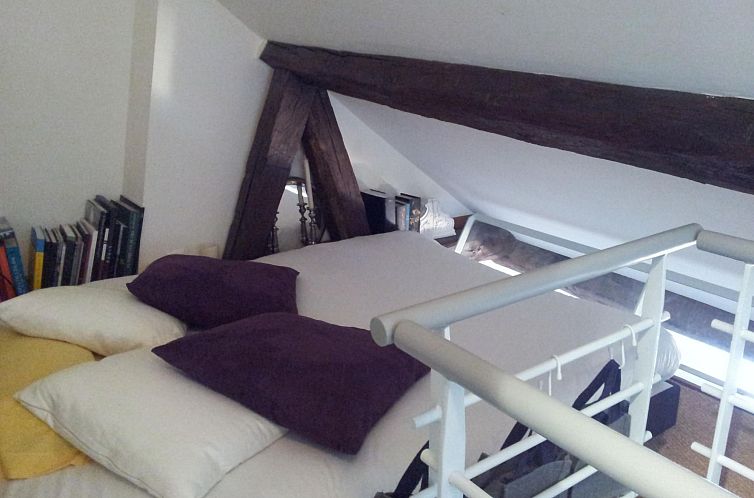 Appartement Schöner romantischer Blick auf die Seine