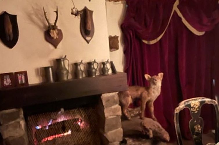 Vakantiehuis in Fontainebleau