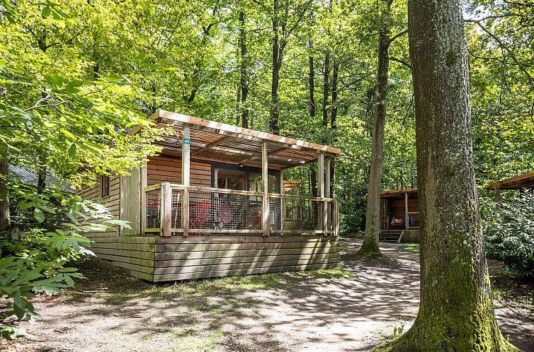 Chalet Evasion