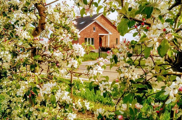 Vakantiehuis in Gingelom