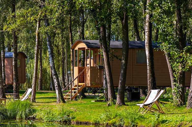 Rustic glamping lodge in Holiday home in Kinrooi, Limburg, Belgium surrounded by green nature and serene surroundings.