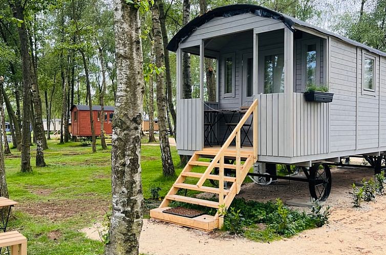 Charmantes Ferienhaus in Kinrooi, Limburg, umgeben von Baeumen, bietet ein rustikales Naturerlebnis in Belgien.