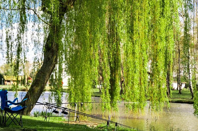 Vakantiehuis Camping Papillon Kinrooi – 88