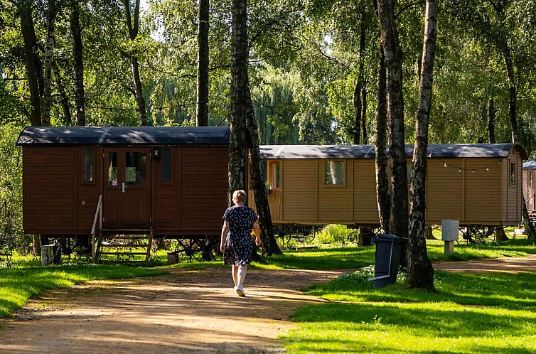 Vakantiehuis Camping Papillon Kinrooi - Pipowagen 2 personen