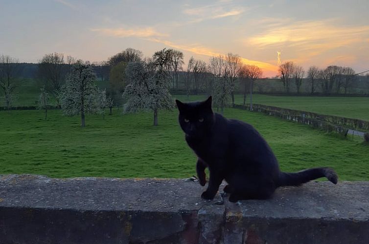 Vakantiehuisje in St.-Pieters-Voeren