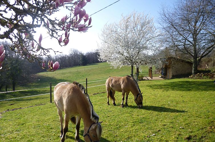 Vakantiehuis Komfort, Ruhe, privater Pool, EV-Ladestation