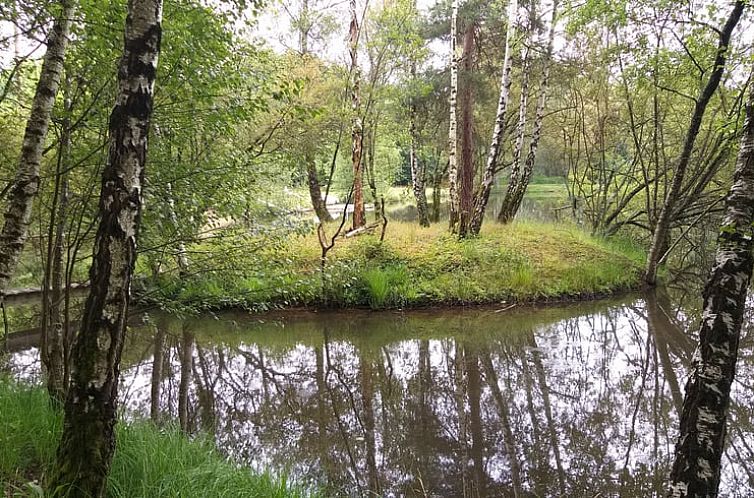 Vakantiehuisje in Saint-Priest-les-Fougères