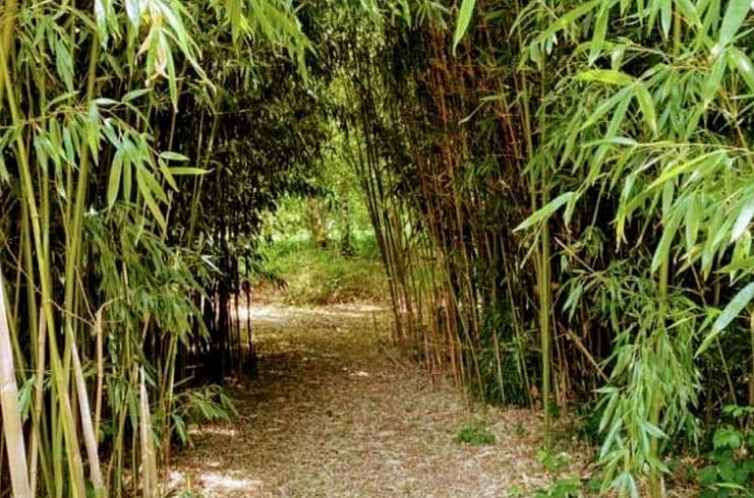 Vakantiehuisje in Saint-Priest-les-Fougères