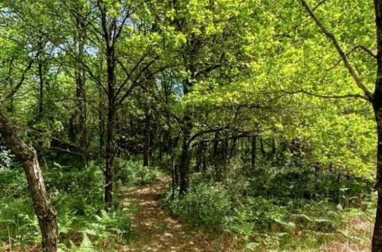 Vakantiehuisje in Saint-Priest-les-Fougères