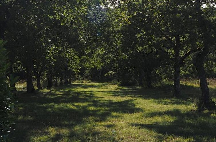 Vakantiehuisje in Salignac-Eyvigues