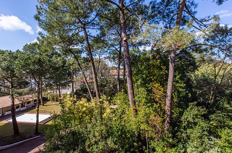 Appartement Le Bourret