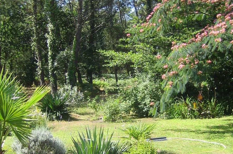 Vakantiehuis Villa "La Belle Vie"
