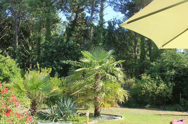 Vakantiehuis Villa "La Belle Vie"