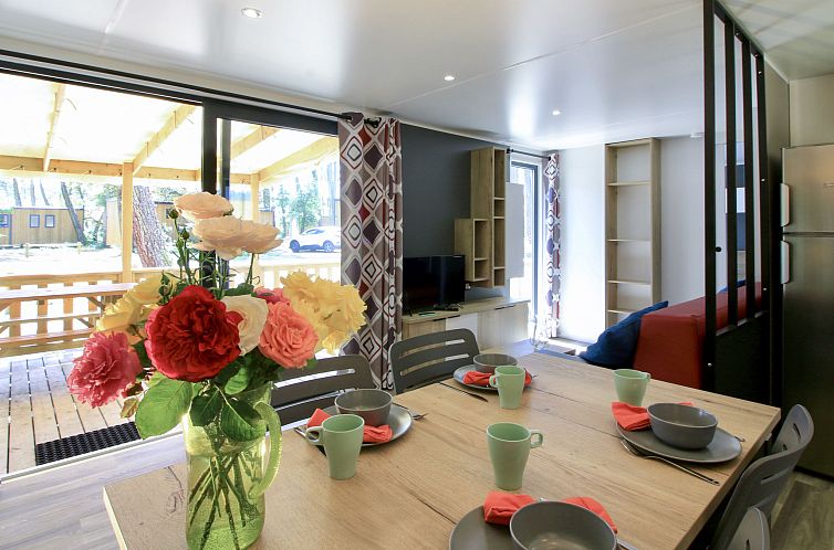 Vakantiehuis Premium Cocoon