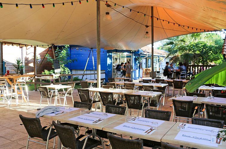 Vakantiehuis Premium Cocoon