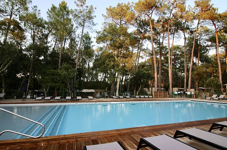 Vakantiehuis Premium Cocoon
