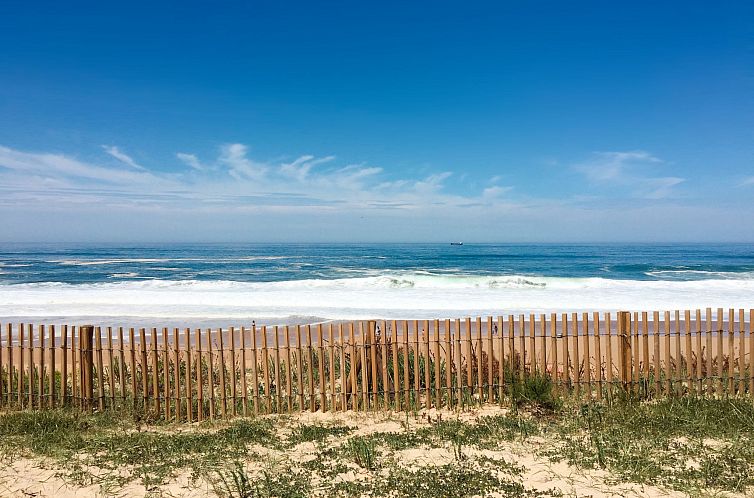 Vakantiehuis Premium Cocoon