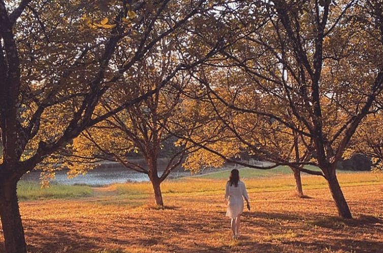 Vakantiehuis in St. Sulpice d'Excideuil