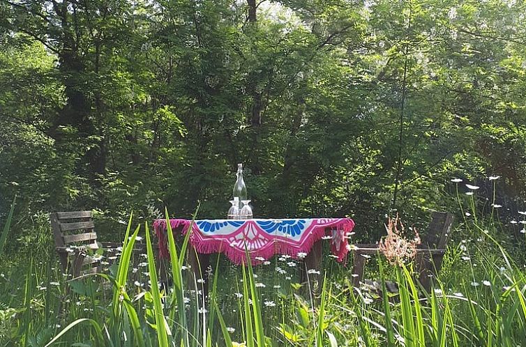 Vakantiehuisje in Busserolles