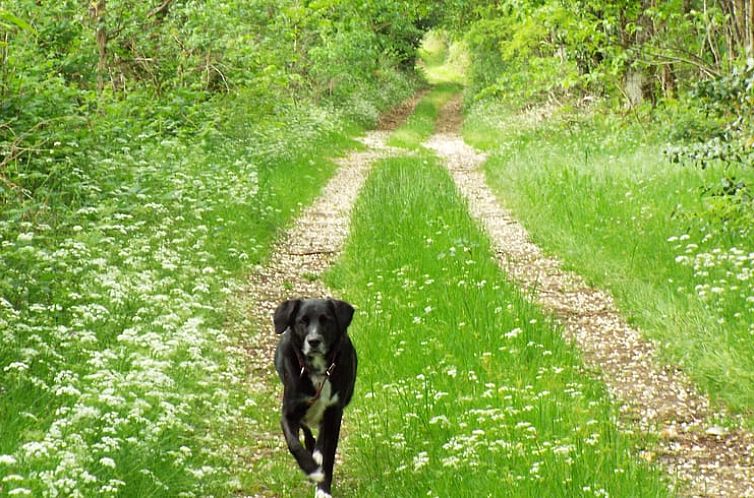 Vakantiehuisje in Busserolles