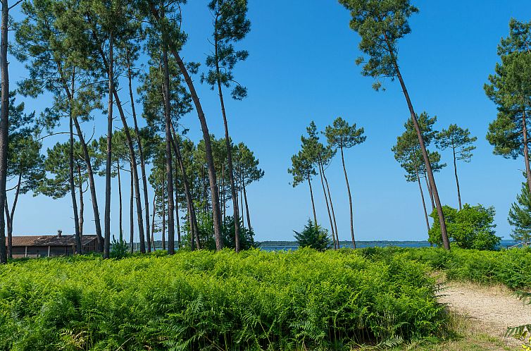 Vakantiehuis Les Cottages du Lac M4 Privilège
