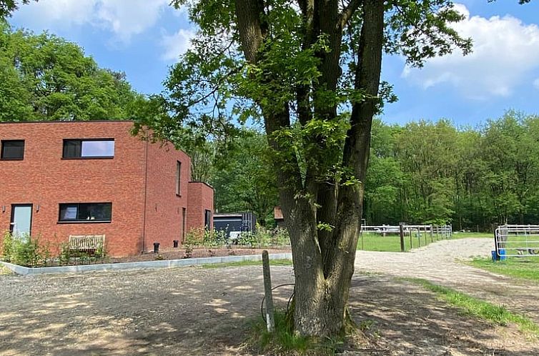 Cottage in Zutendaal, ein Ferienhaus in Limburg, Belgien, umgeben von gruener Natur und ruhigen Waeldern.