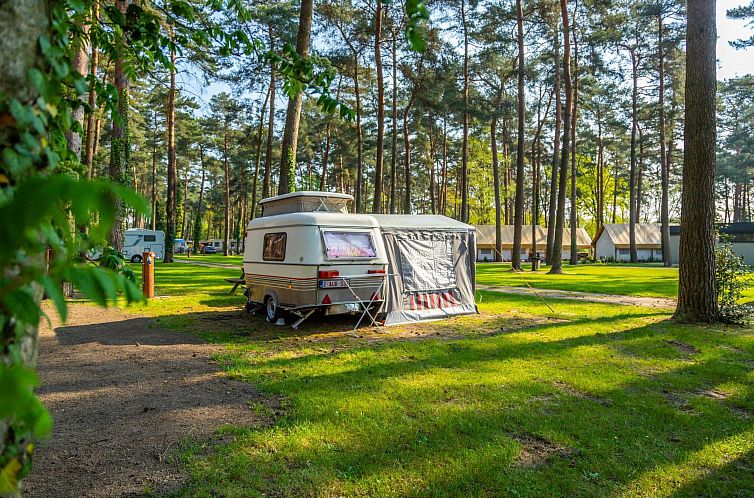 Comfort pitch in Zutendaal, Limburg, Belgium with caravan and green surroundings surrounded by tall trees.