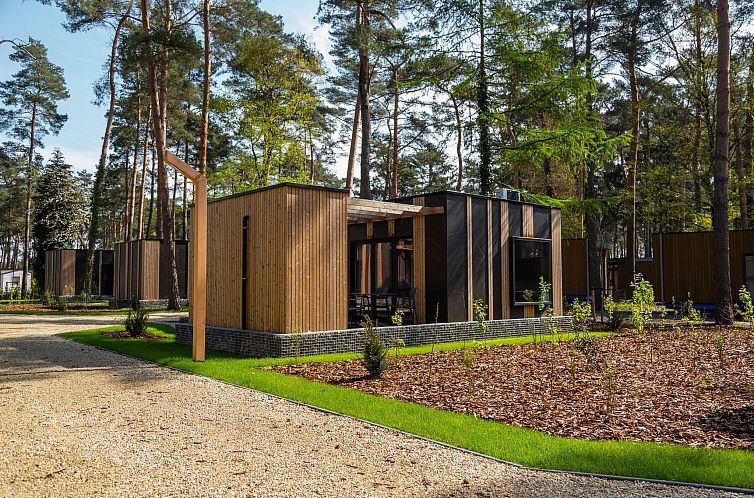 Forest Cottage 4, ein charmantes Ferienhaus in Zutendaal, Limburg, Belgien, umgeben von ruhiger Natur und hohen Baeumen.