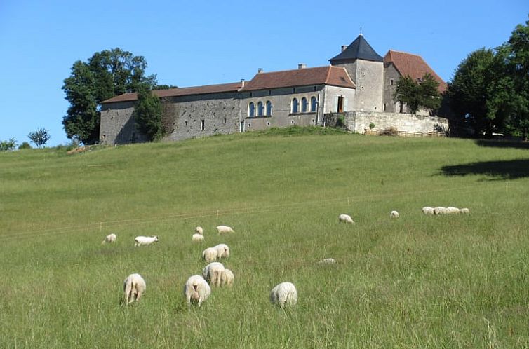Vakantiewoning Huisje in Tourtoirac, gelegen in het schilderachtige landschap van Aquitaine, met schapen op de achtergrond.