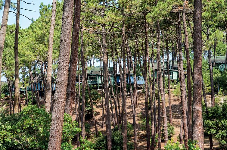 Vakantiehuis Les Cavales