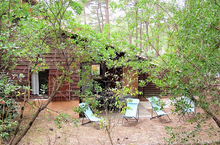 Vakantiehuis Les maisons de la forêt