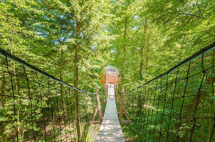 Adventure stay at Lov'Nid Claire in Raray, Picardy with access via a suspension bridge to a rustic treehouse.