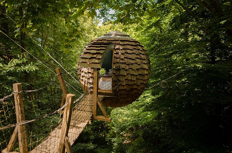 Experience a night of adventure in the Lov'Nid Promesse treehouse, located in the serene forest of Raray, Picardy.