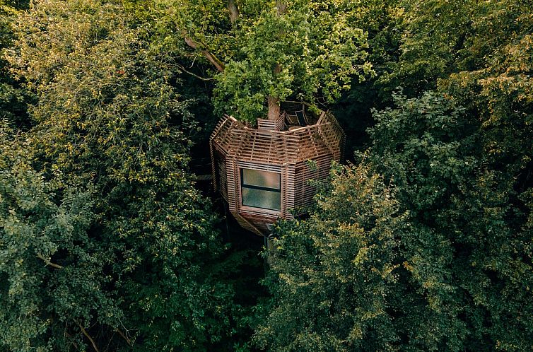 Das Ferienhaus Origin in Raray, Picardie, bietet ein Baumhaus-Abenteuer inmitten der ruhigen franzoesischen Waelder.