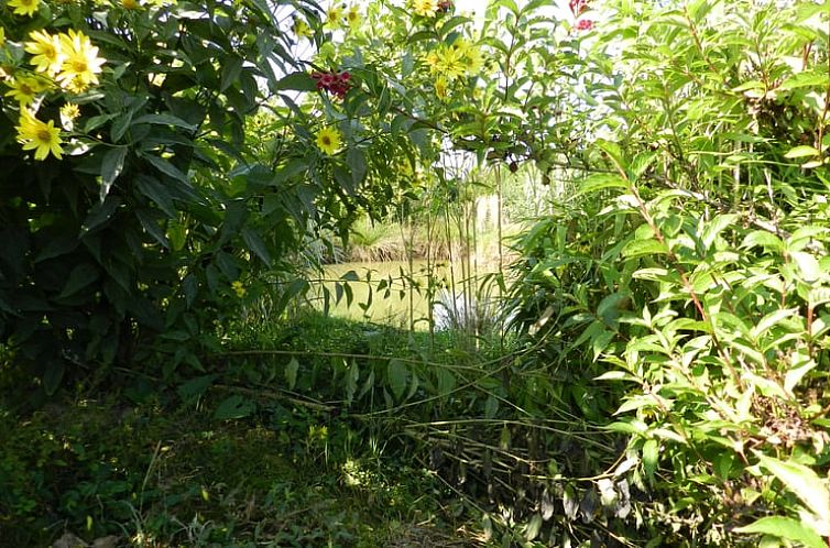 Vakantiehuis in Esquéhéries