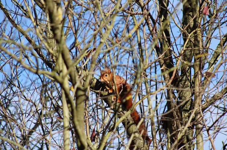 Vakantiehuisje in Saint Maulvis