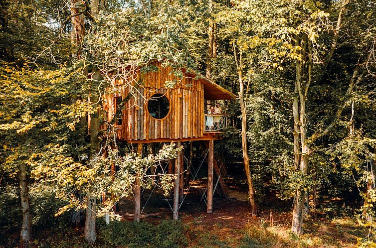 Enjoy the tranquility of the Repaire du Trappeur treehouse, located in the forests of Saint-Leger-aux-Bois, Picardie, France.