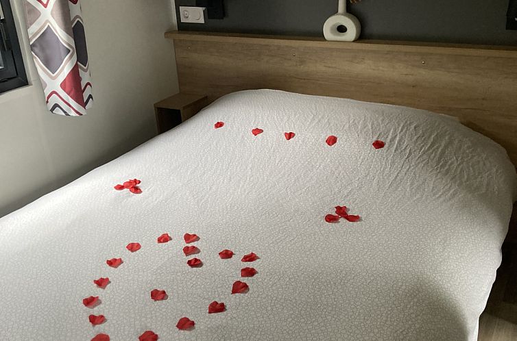 Luxe Premium «Lodge»