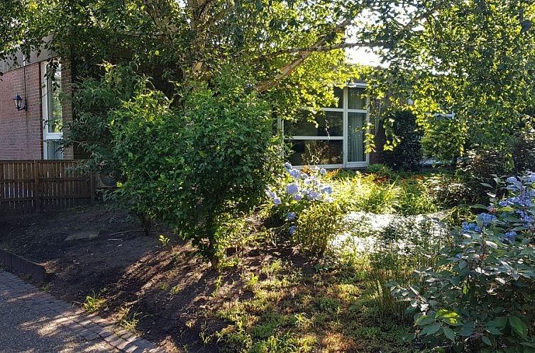Ferienhaus Salamander in Maasmechelen, Belgien, umgeben von einem gruenen Garten mit vielen Blumen und Baeumen.