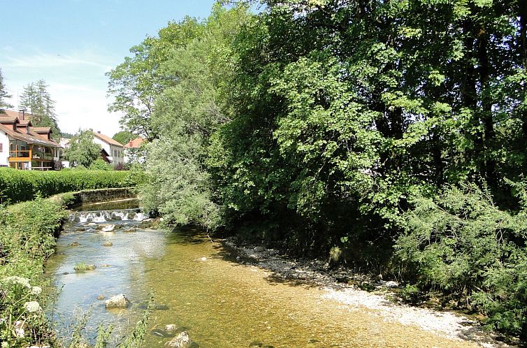 Appartement Saine Montagne du Jura mit Spa Sauna Fluss