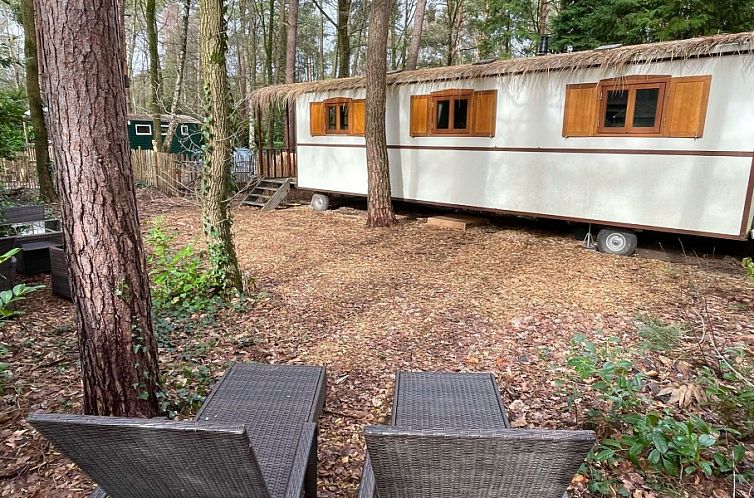 Romantische pipowagen in het bos nabij Maastricht met 2 slaa