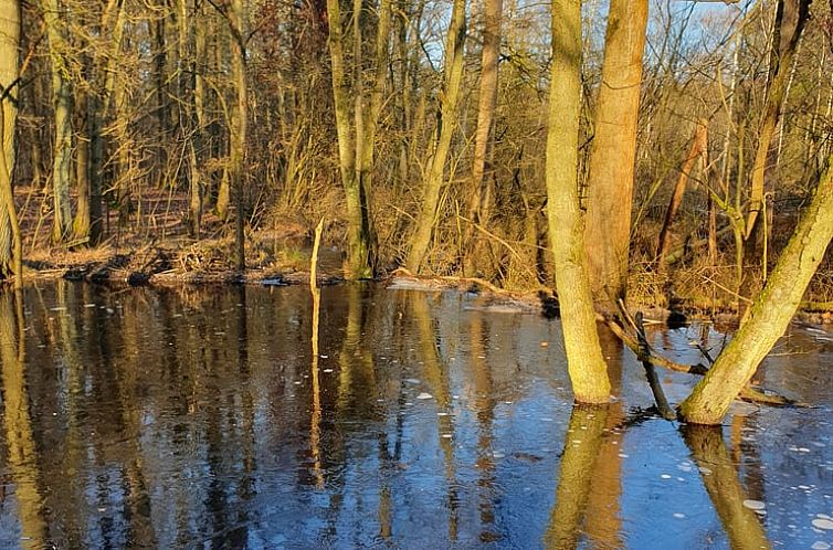 Huisje in Gellik Lanaken