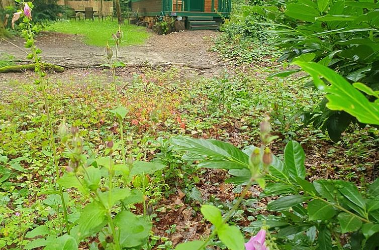 Huisje in Gellik Lanaken