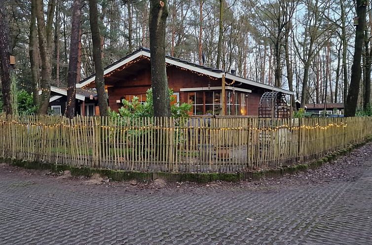 Gemuetliches Ferienhaus Cottage in Gellik, Limburg, Belgien, umgeben von Baeumen und rustikalem Holzzaun.
