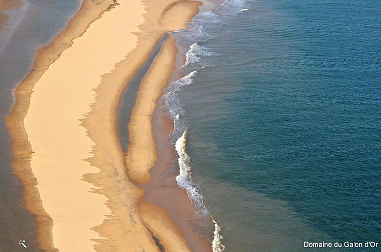 Vakantiehuis in Arvert - Ronce-Les-bains